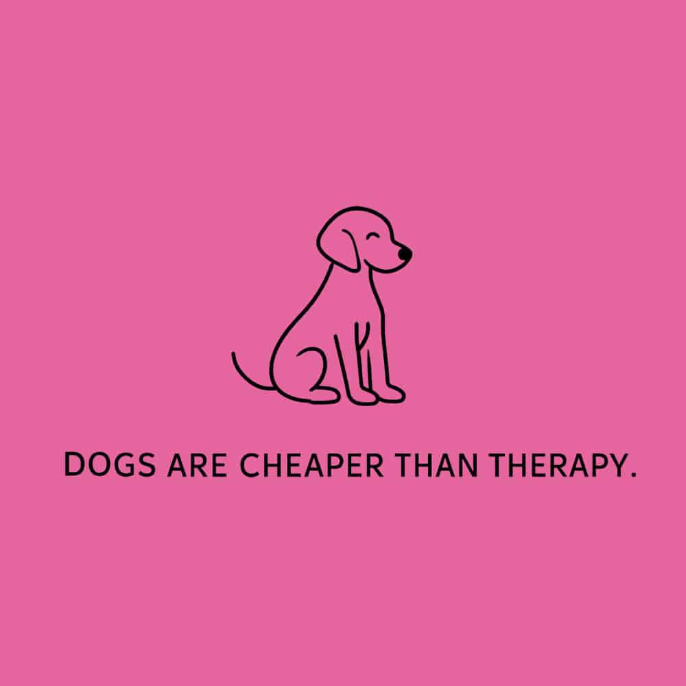 Secondary Product Image