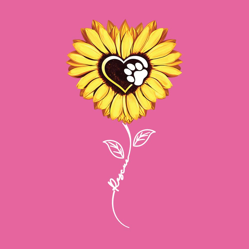 Secondary Product Image