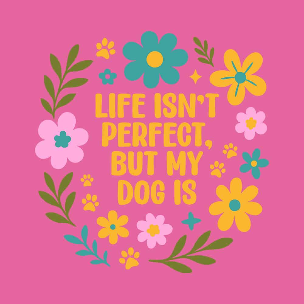 Secondary Product Image