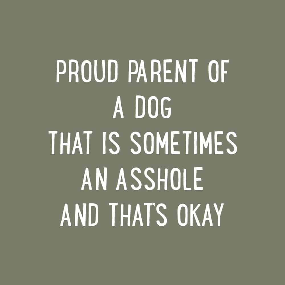 Secondary Product Image