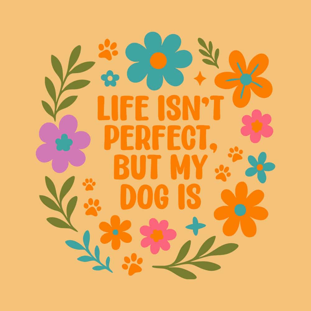 Secondary Product Image