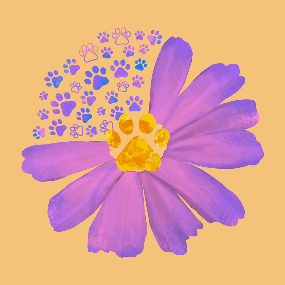 Secondary Product Image