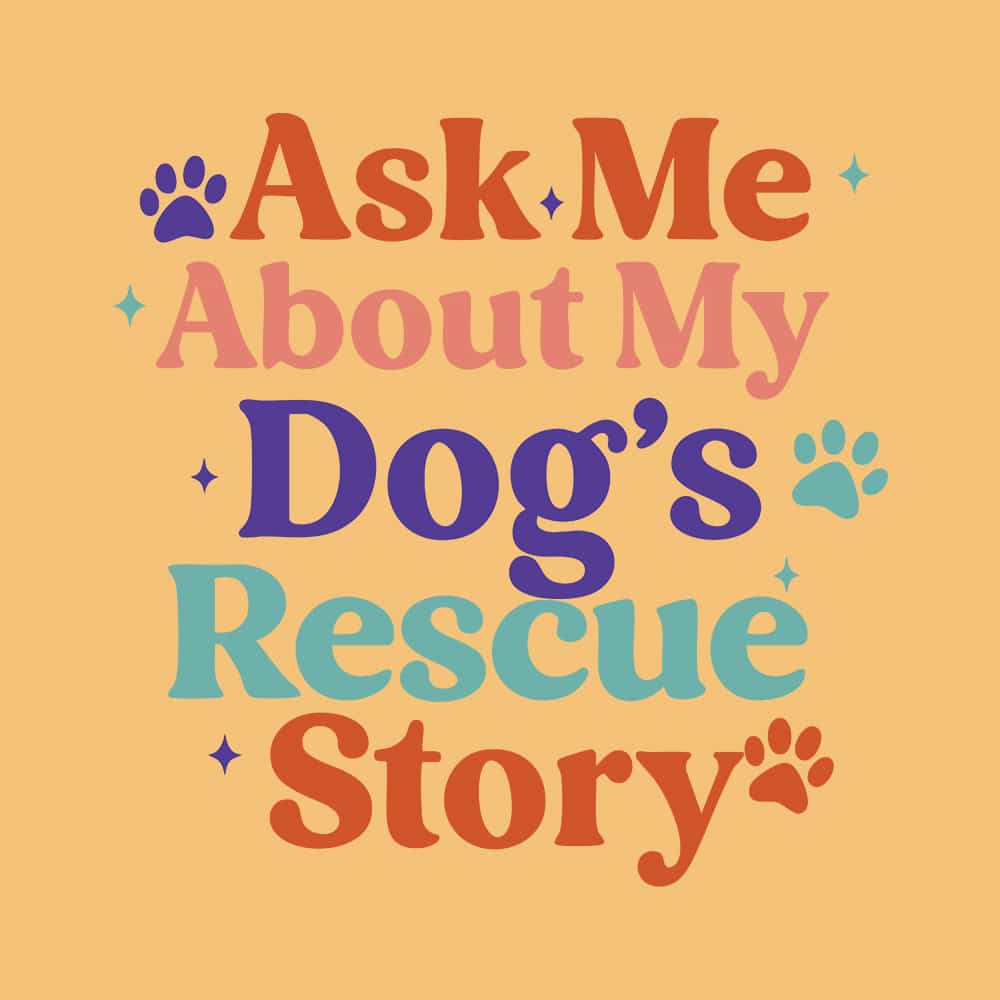 Secondary Product Image