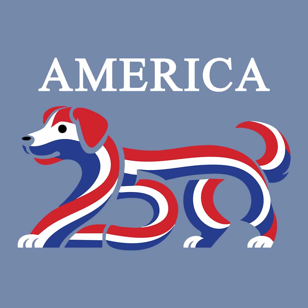 Secondary Product Image