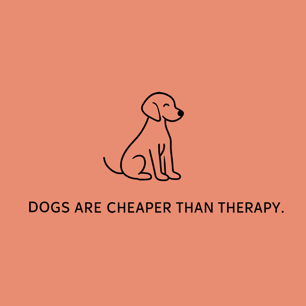 Secondary Product Image