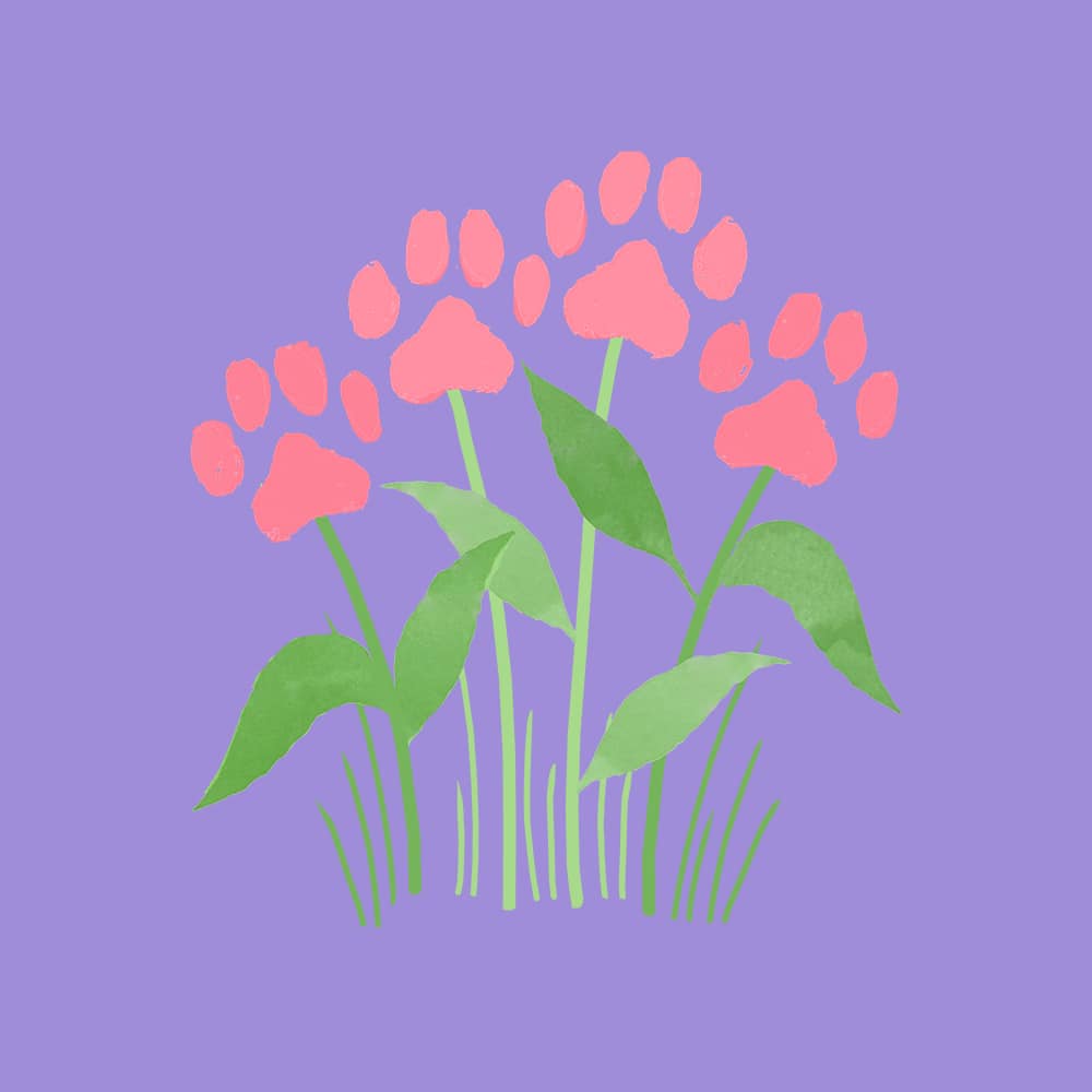 Secondary Product Image