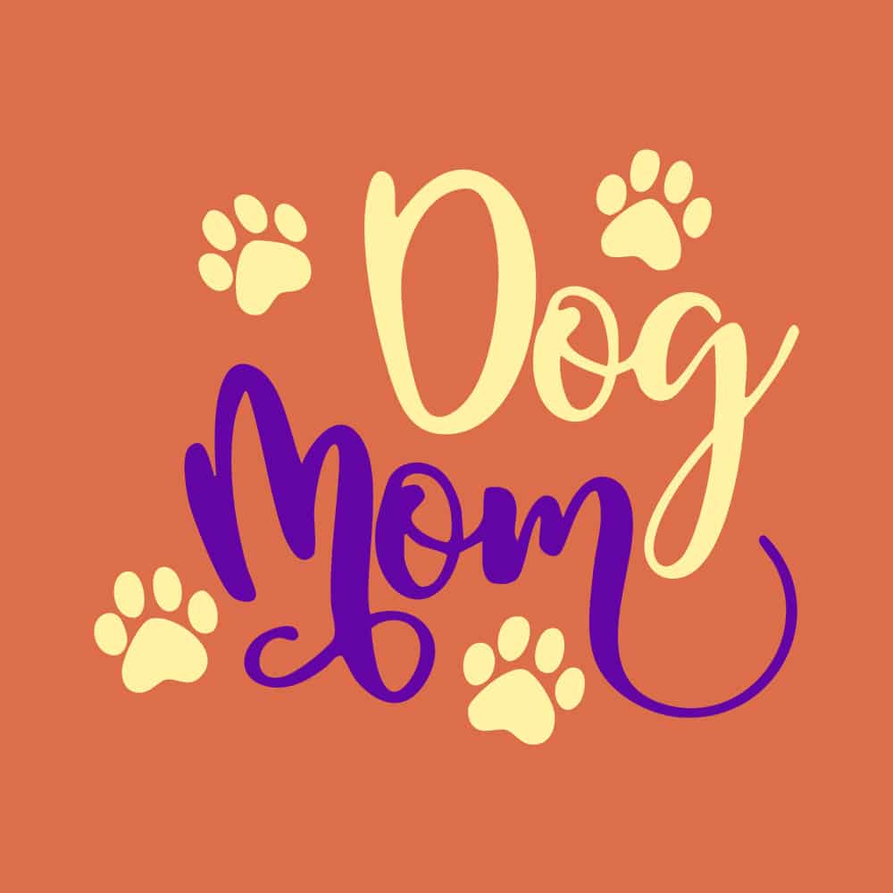 Secondary Product Image