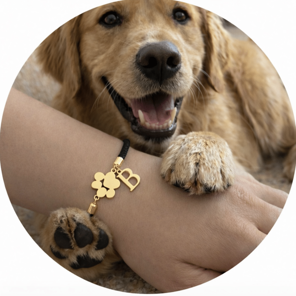 Shop All Jewelry Products