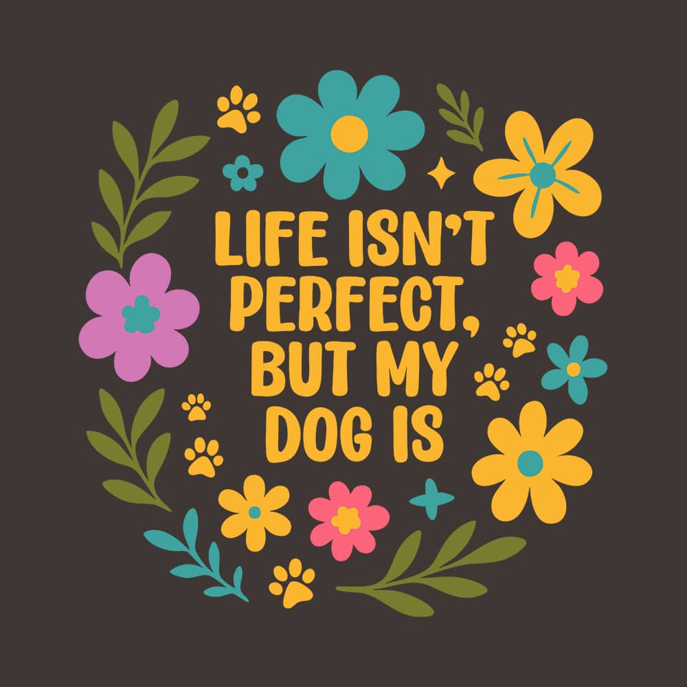 Secondary Product Image