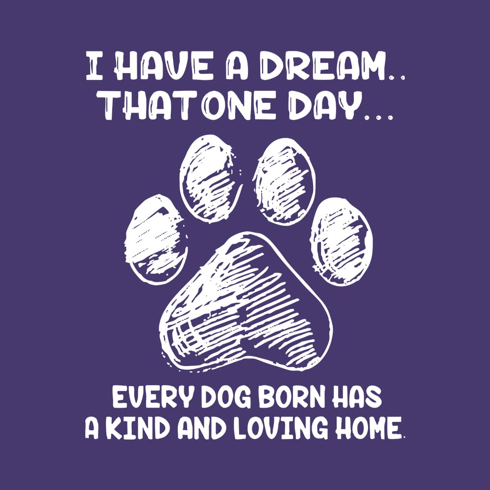 Secondary Product Image