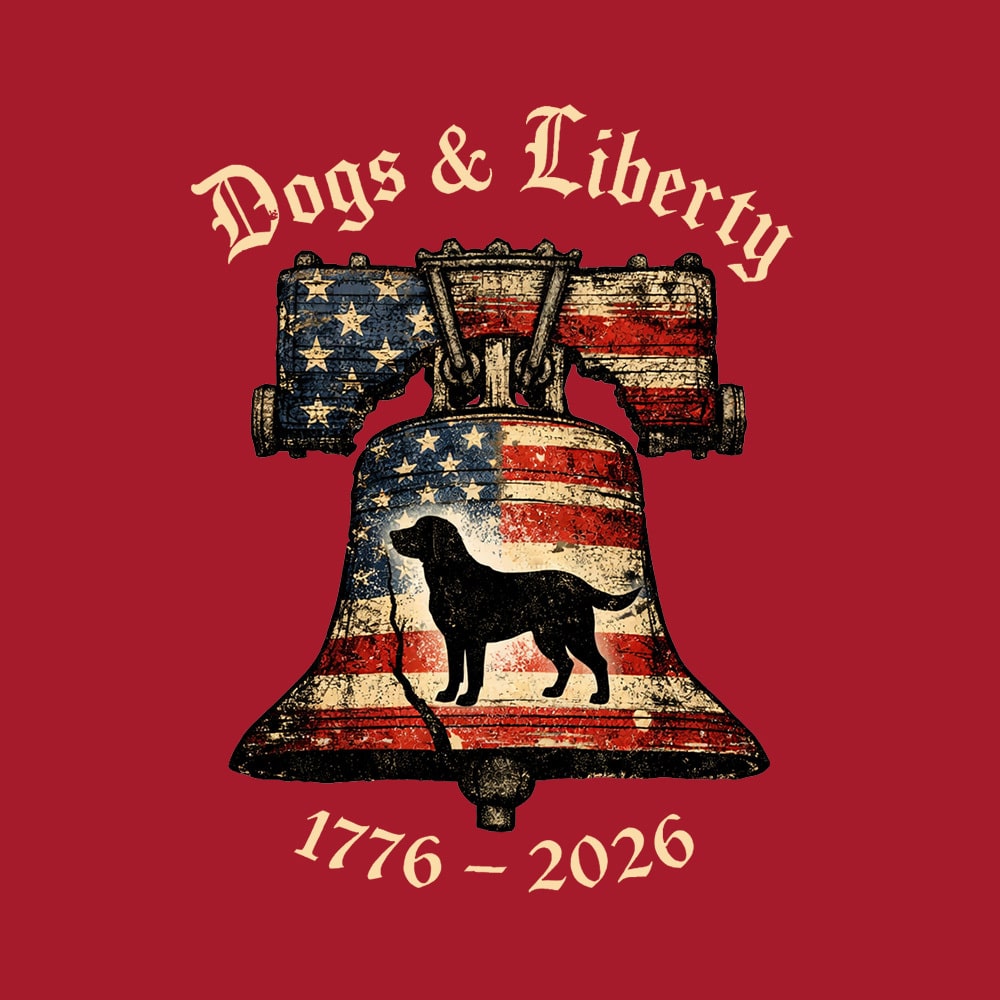 Secondary Product Image