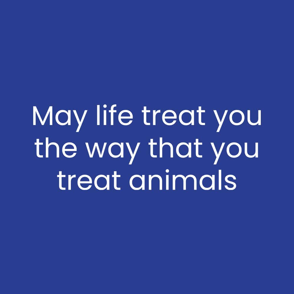 Secondary Product Image