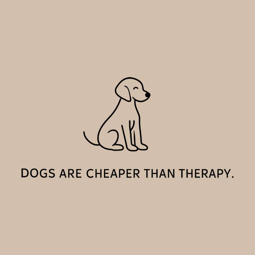 Secondary Product Image