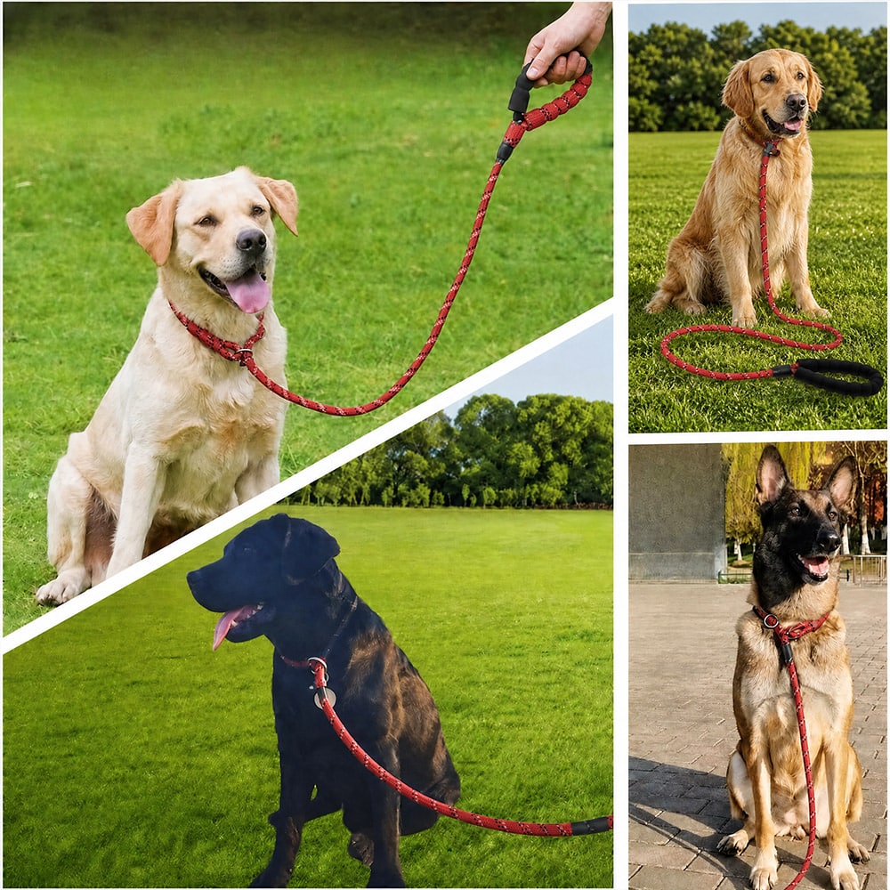 Heavy Duty Slip Lead Dog Leash - 6.5 ft , Strong Reflective Rope with Padded Neoprene Handle - Image 3