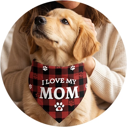 Collars & Bandanas Products