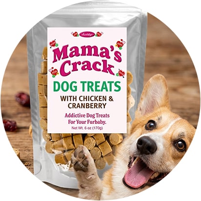 Dog Treats Products