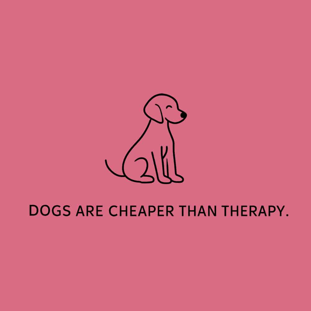 Secondary Product Image