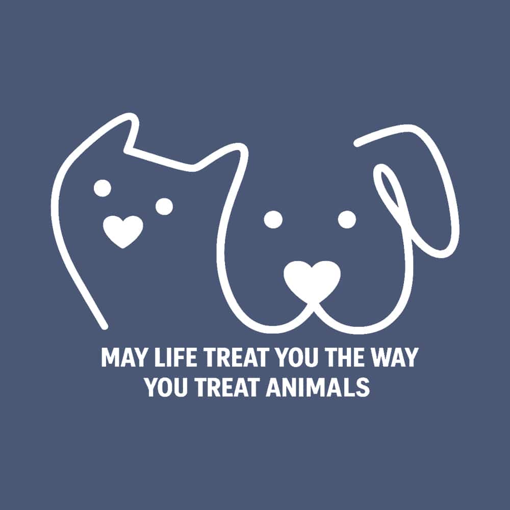 Secondary Product Image