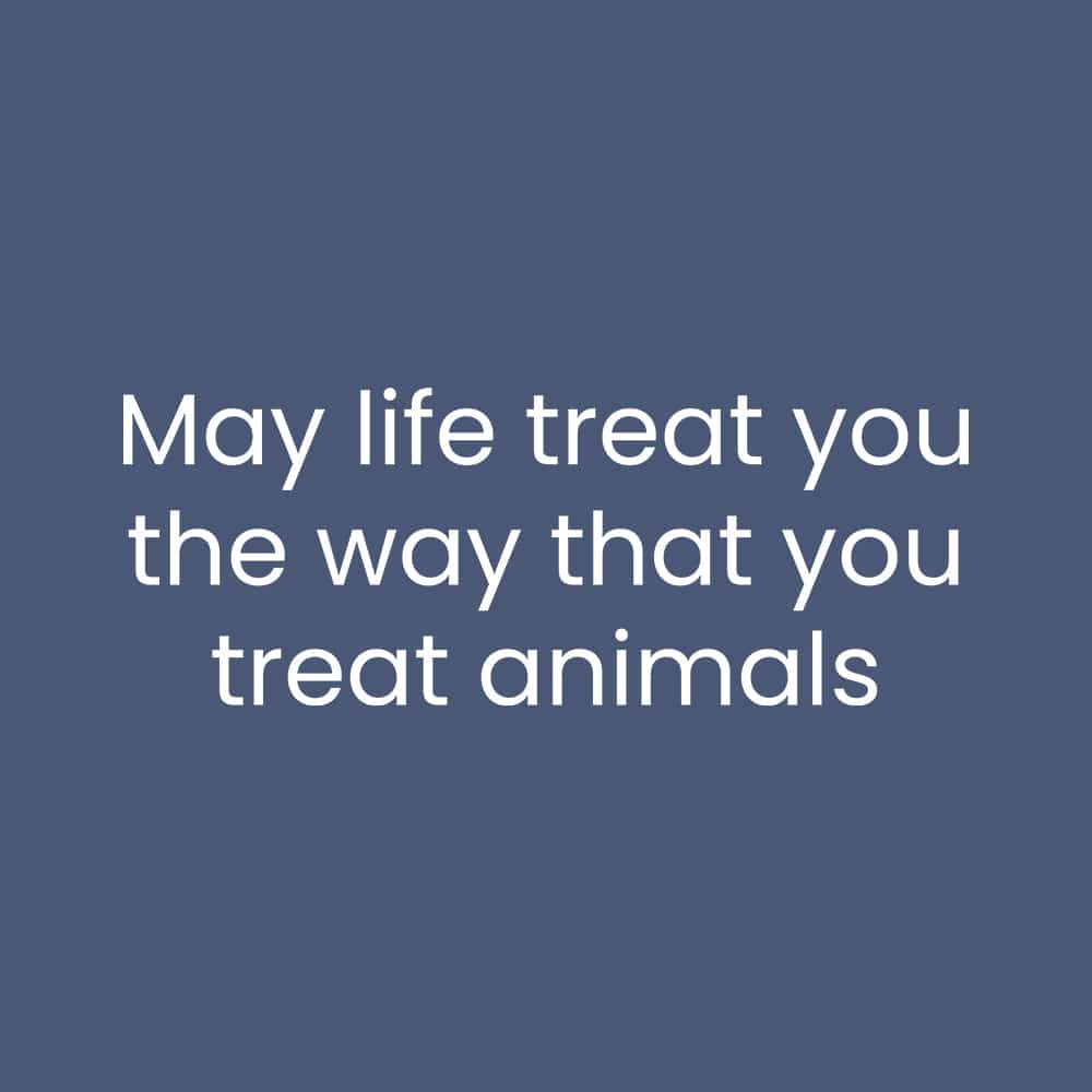 Secondary Product Image