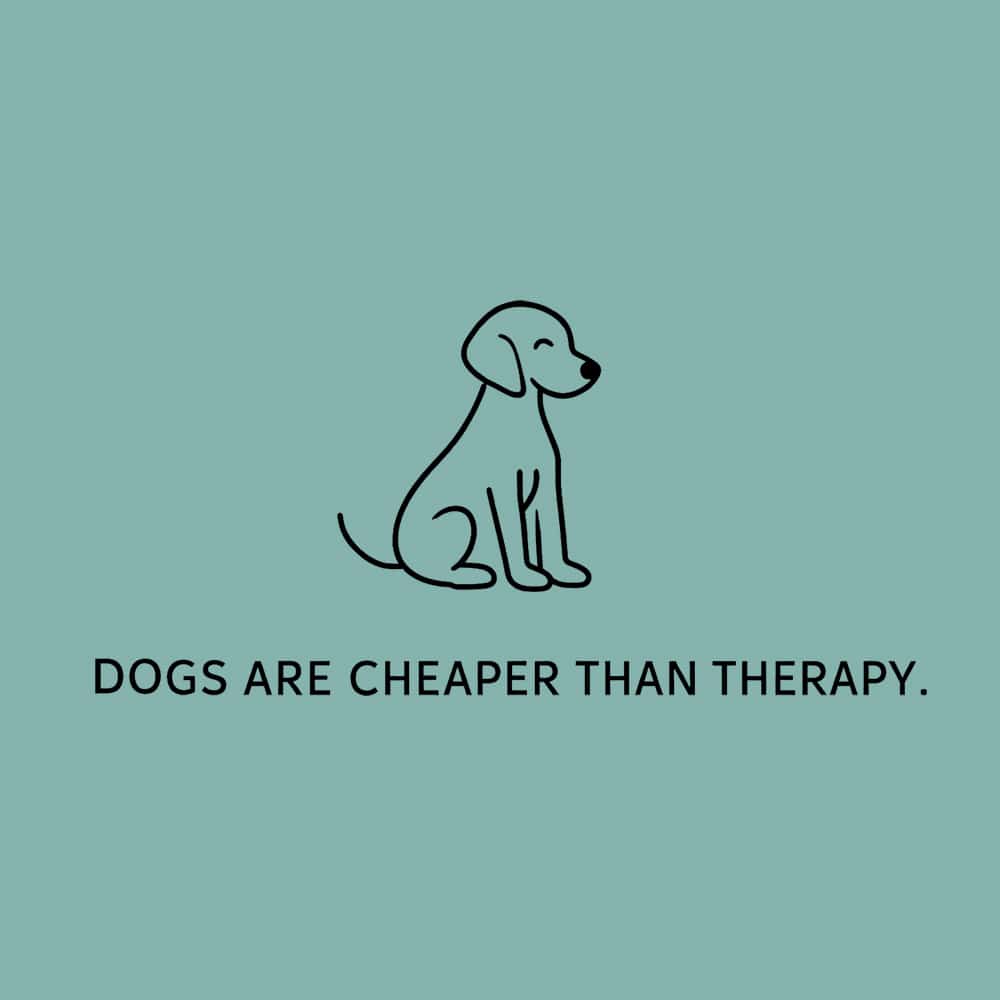 Secondary Product Image