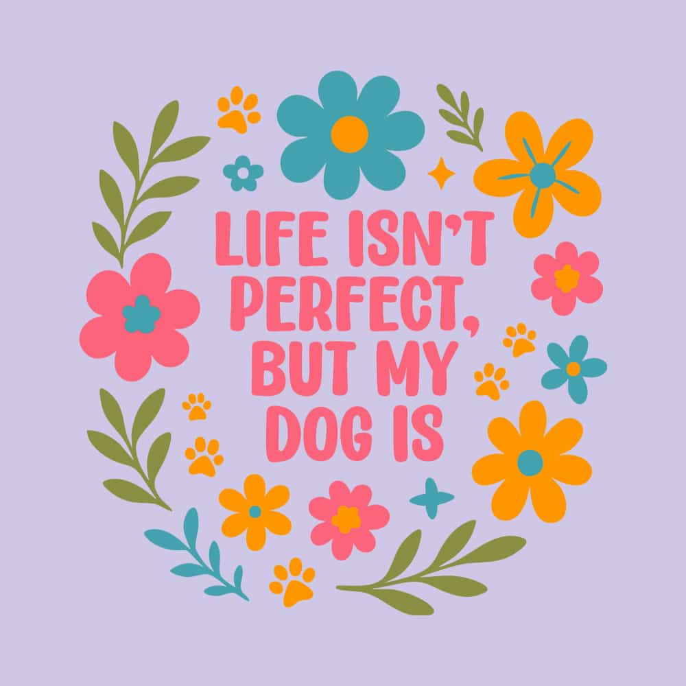 Secondary Product Image