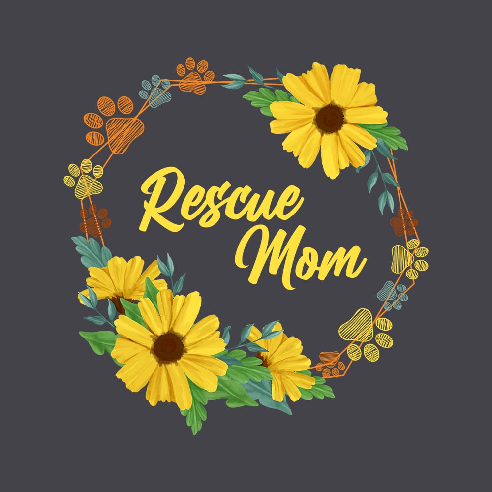 Secondary Product Image