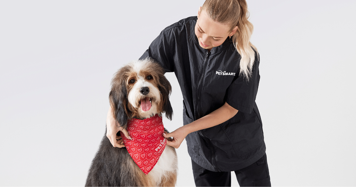 PetSmart Dog Grooming: A Full Service Breakdown + $20 Off New Customer Deal