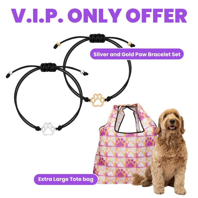 VIP ONLY Pink Paws Reusable Tote and Best Friends Paw Bracelet Set