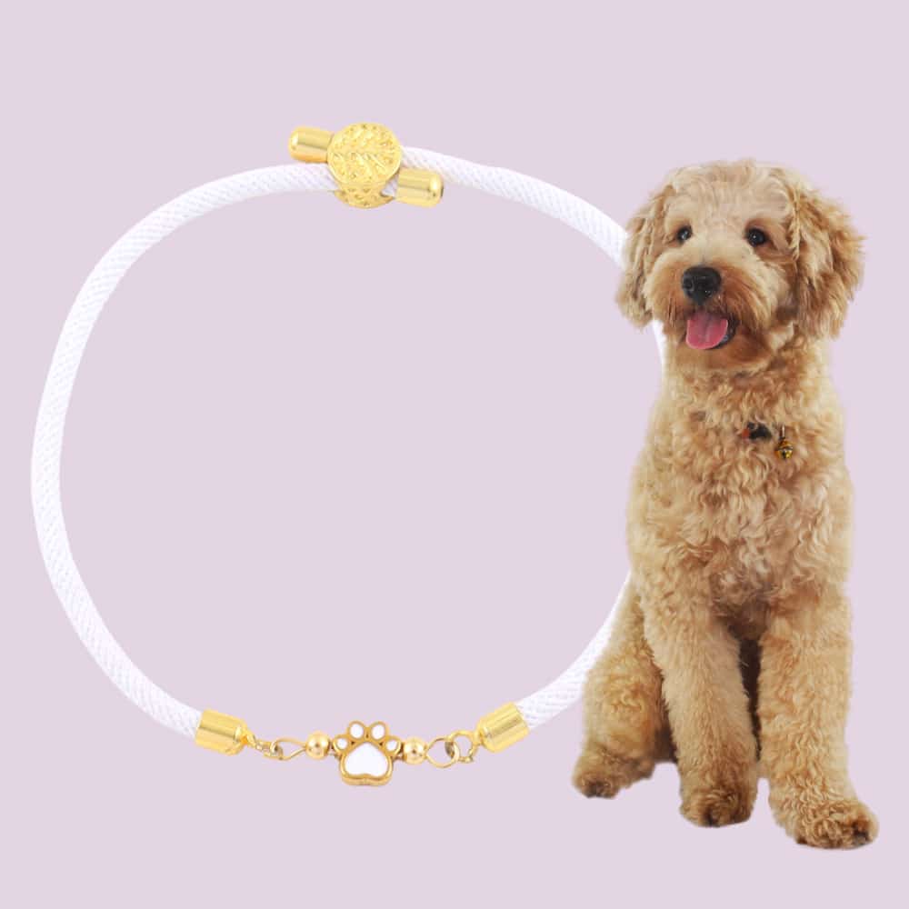 Forever Paw Adjustable Bracelet- White