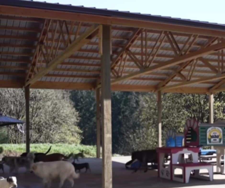 Caregivers at Asher House