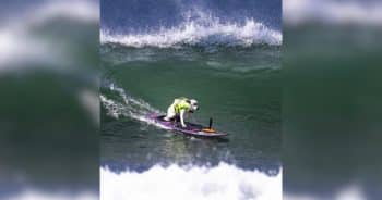 Sugar the Surfing Dog