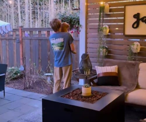 Maple watching hummingbirds