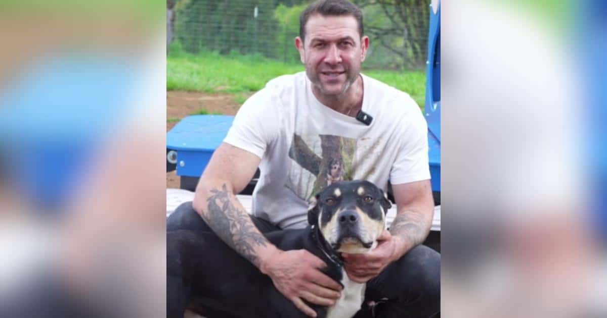 He Was 24 Hours From Euthanasia, Now He’s Safe and Ready for a Home