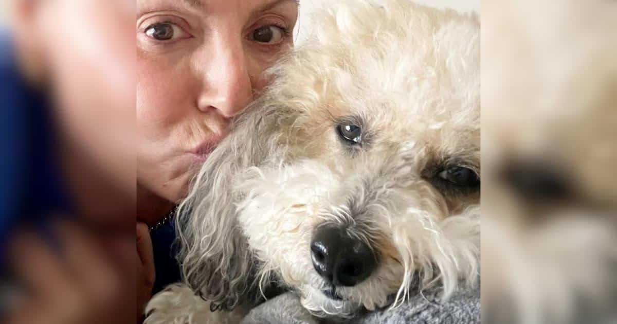 Woman ‘Shocked’ After She and Her Dog Are Both Diagnosed With Breast Cancer