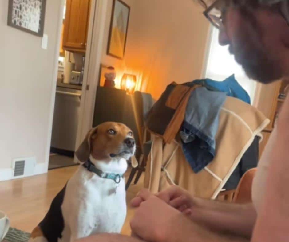 Juniper’s priceless yawning reaction