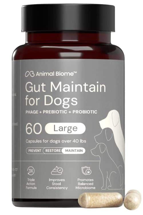 14 Best Probiotics for Dogs in 2026 (Vet-Reviewed Picks) - iHeartDogs.com
