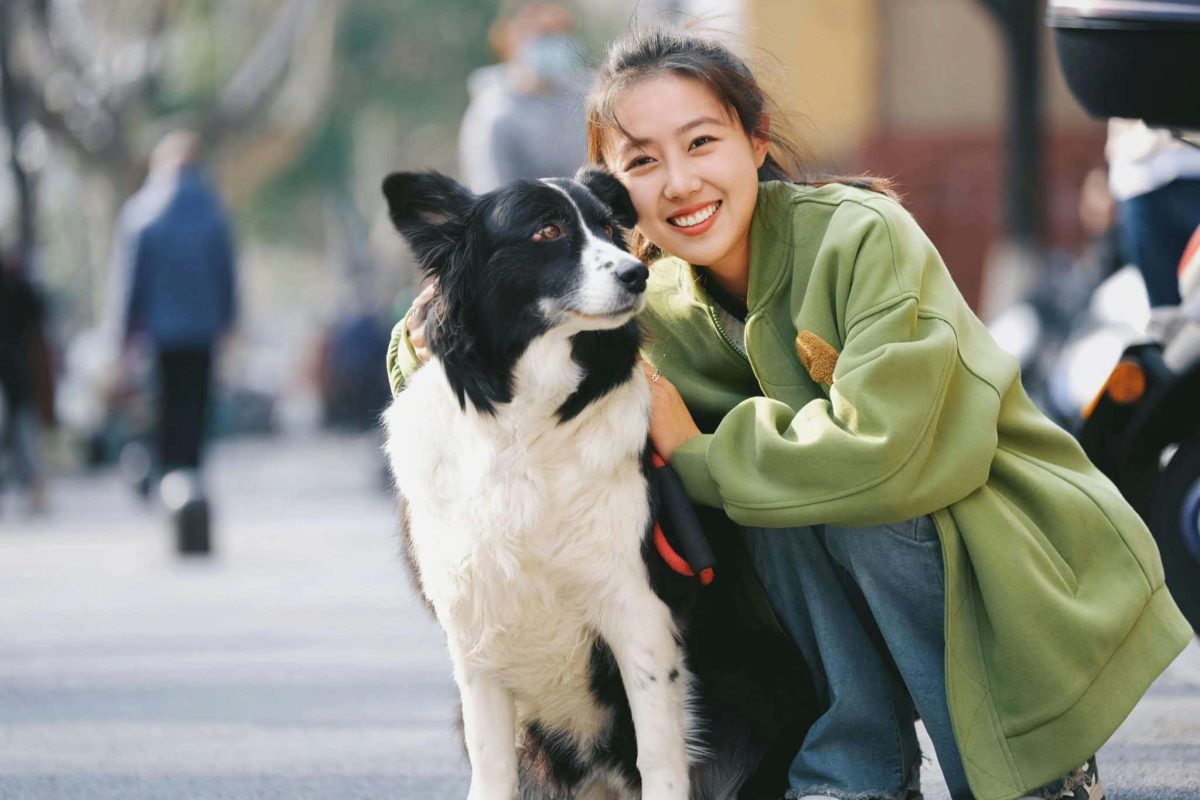 Collie displaying gentle attentiveness and affectionate loyalty toward cherished family companions.