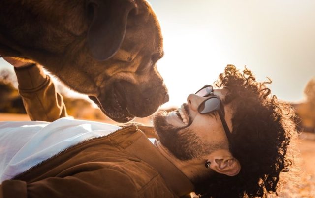 Happy Man Having Fun Playing With Dog At Park