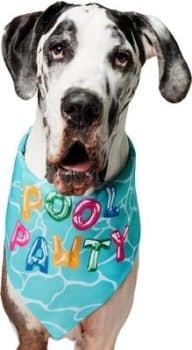 Frisco Summer Pool Pawty Dog & Cat Bandana,