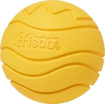Frisco Fetch Floating Rubber Ball Dog Toy