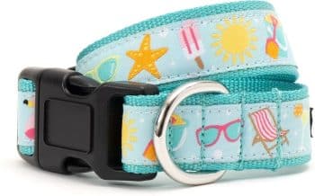 The Worthy Dog Life's a Beach Dog Collar