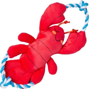 Frisco Coastal Lobster Plush with Rope Squeaky Dog Toy,