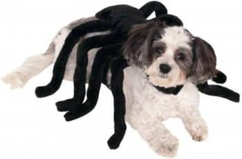 Rubie's Spider Pet Harness Costume