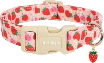  Astdogio Strawberry Dog Collar