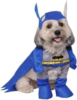 Rubies Costume Batman The Brave and The Bold Deluxe Pet Costume