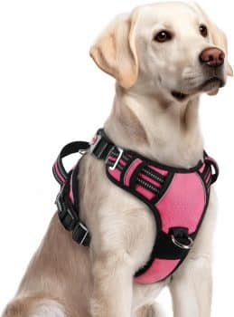  rabbitgoo Dog Harness for Large Dogs
