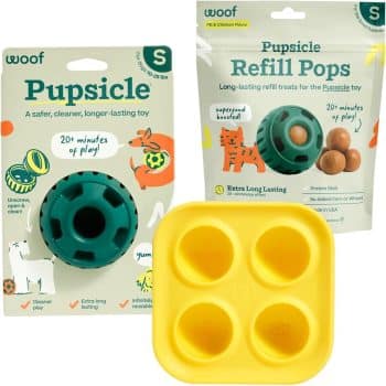  WOOF Starter Pack - Interactive Dog Ball Toy