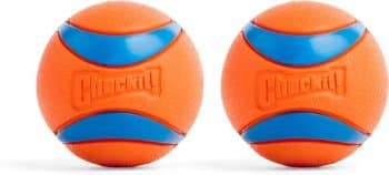 Chuckit! Ultra Ball Dog Toy