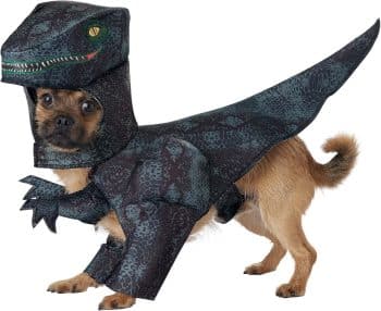 
California Costumes, Pupasaurus Rex Dog Costumes