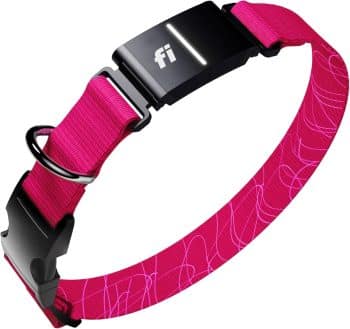  Fi New Series 3+ Smart Dog Tracker Collar 